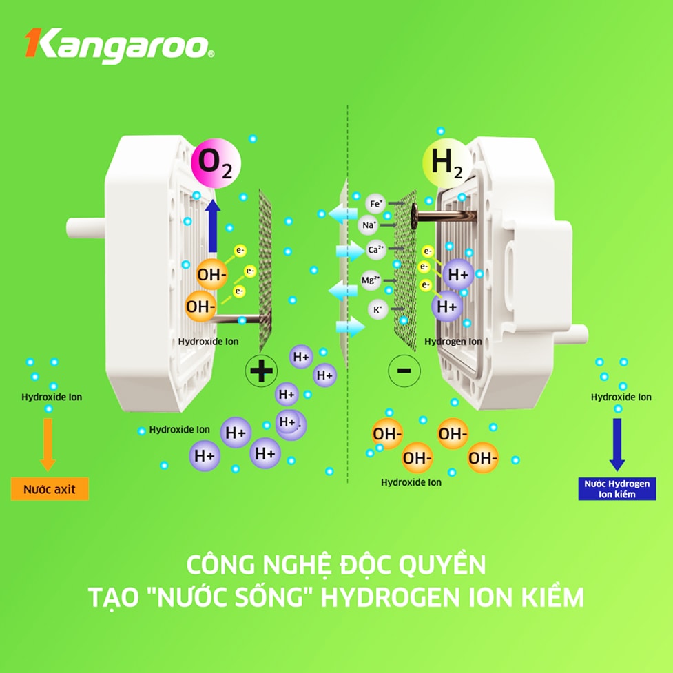 Cách hoạt động của máy lọc nước hydrogen ion kiềm Kangaroo KG100ES