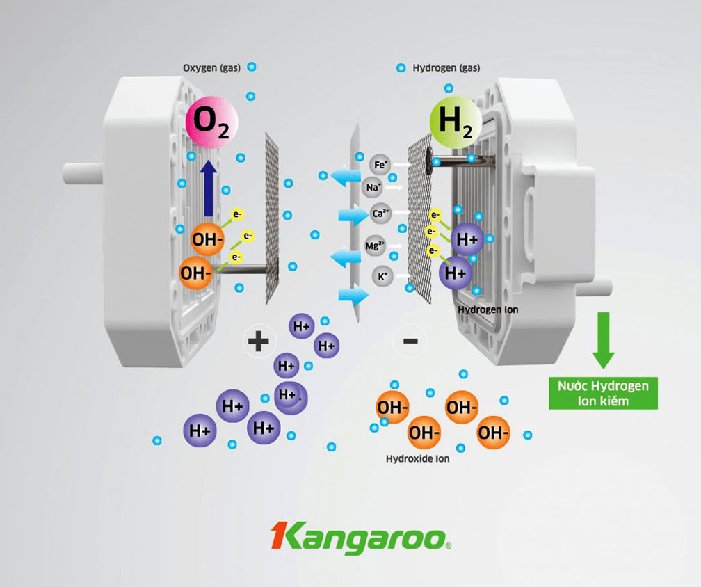 Cách tạo nước điện phân của máy lọc nước ion kiềm Kangaroo Kg100eed